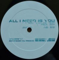Unknown Artist / All I Need Is You (12
