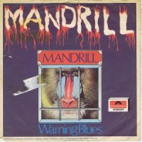 Mandrill / Mandrill / Warning Blues (7