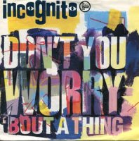 Incognito / Don't You Worry 'Bout A Thing (7