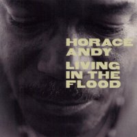 Horace Andy / Living In The Flood (2LP)