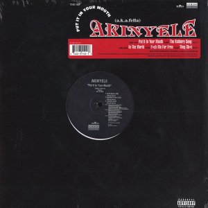 Akinyele / Put It In Your Mouth (12