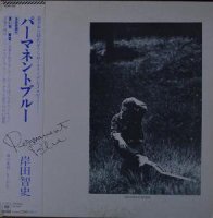 岸田智史 / パーマネントブルー (LP)