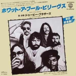 The Doobie Brothers / What A Fool Believes (7