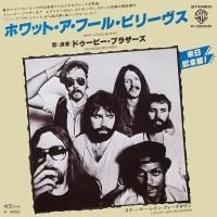 The Doobie Brothers / What A Fool Believes (7