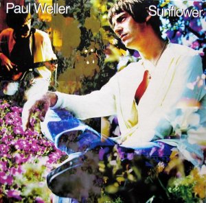 PAUL WELLER / SUNFLOWER (12