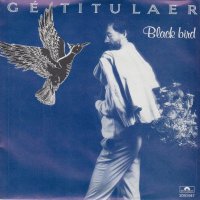 Ge Titulaer / Blackbird (7