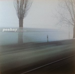 Peshay / Miles From Home(12