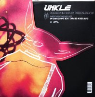 UNKLE / Rabbit In Your Headlights (12