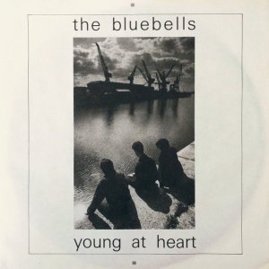 The Bluebells / Young At Heart (7