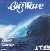 ãϺ TATSURO YAMASHITA / BIG WAVE (7