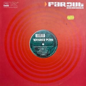 Natures Plan Feat Azymuth And Carina Andersson / Somewhere Beyond (12