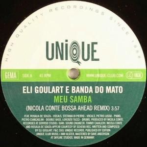 ELI GOULART E BANDA DO MATO / MEU SAMBA (12