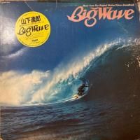 ãϺ / BIG WAVE (LP)