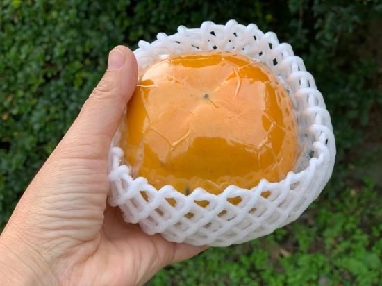 甘柿　10個入り　新鮮　甘い　特価！ 福岡県産 極上甘柿の新品種 秋王(あきおう) 約3.5キロ(8玉から12玉