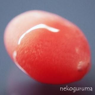 真珠・珊瑚各種