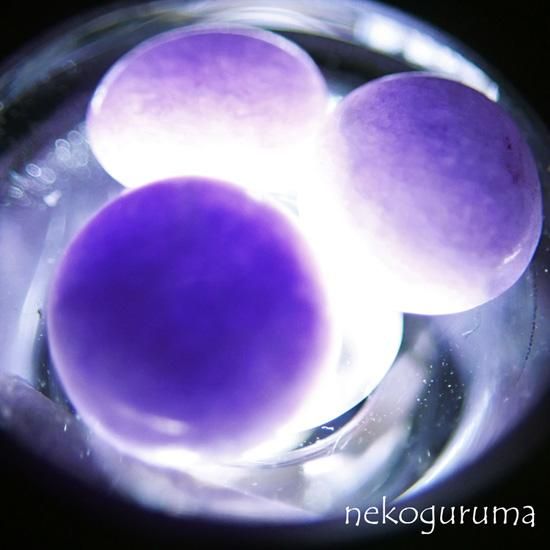 JADEITE大きなミャンマー産本翡翠原石大人気ラベンダーカラー♪1面磨き353 楽天市場】【鑑別付】天然ラベンダー翡翠 10.113ct ジェイド