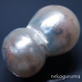 本鼈甲 マベパール 珊瑚 MASAKI CORAL 市松模様 リング・ペンダント 希少性の高い赤珊瑚