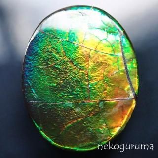 アンモライト - 糸魚川翡翠と稀少石のお店「猫車（nekoguruma）」