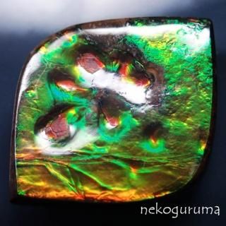 アンモライト - 糸魚川翡翠と稀少石のお店「猫車（nekoguruma）」