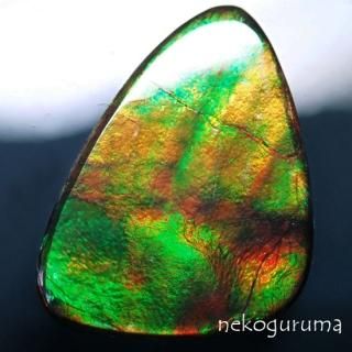 アンモライト - 糸魚川翡翠と稀少石のお店「猫車（nekoguruma）」