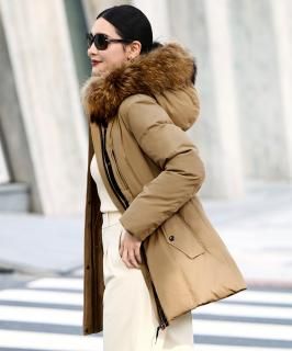 ڥեۥ饯եե󥸥㥱åȡD1645