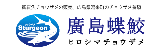 よくある質問 観賞魚チョウザメの専門販売 廣島蝶鮫 よくある質問 観賞魚チョウザメの専門販売 廣島蝶鮫