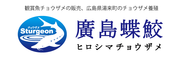 よくある質問 観賞魚チョウザメの専門販売 廣島蝶鮫