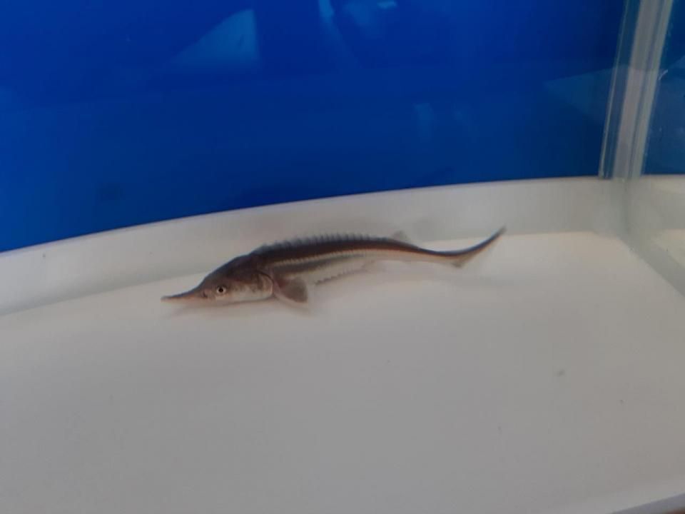  ٥ƥ9cm2025.07.16ߡ