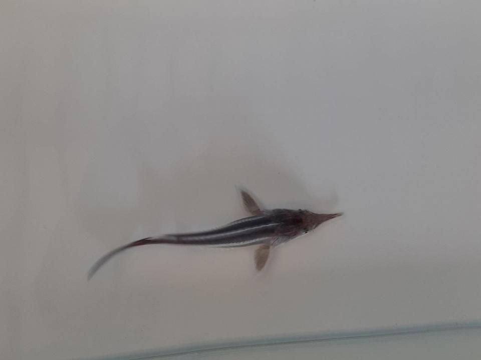  ٥ƥ9cm2025.07.16ߡ