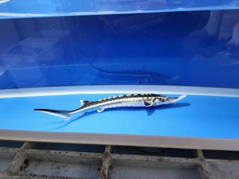    ۥ祦 21cm2025.10.28ߡ