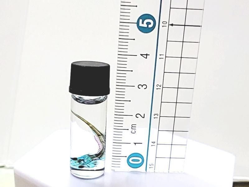 祦 Ʃɸ  H3.5cmB35-2025-001