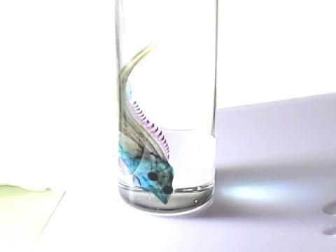 祦 Ʃɸ  H3.5cmB35-2025-001