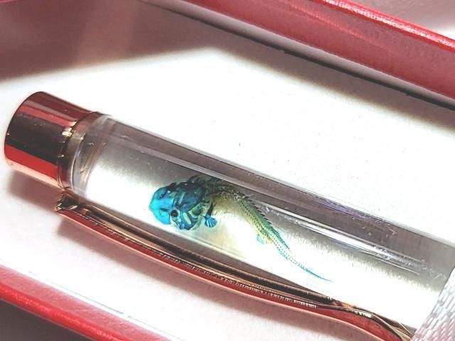 祦 Ʃɸ ܡڥ Υ顼 ʥѡץˡP-2025-001