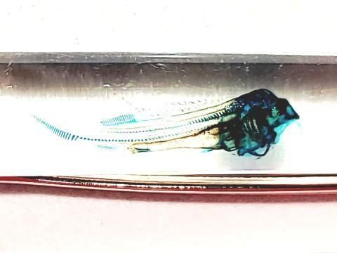 祦 Ʃɸ ܡڥ Υ顼 ʥѡץˡP-2025-001