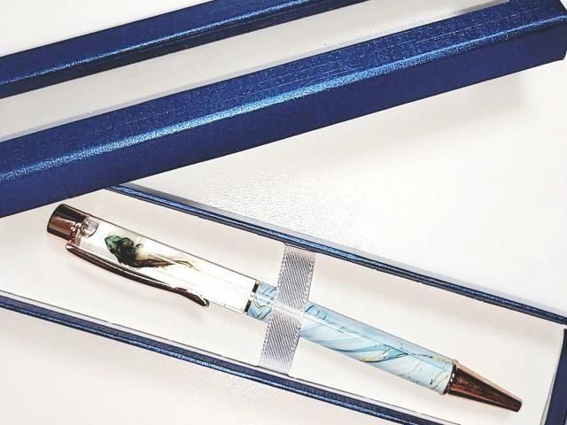 祦 Ʃɸ ܡڥ Υ顼ʥ֥롼ˡP-2025-002