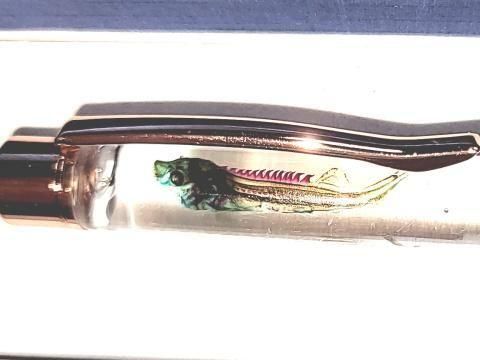 祦 Ʃɸ ܡڥ Υ顼ʥ֥롼ˡP-2025-002