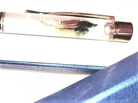 祦 Ʃɸ ܡڥ Υ顼ʥ֥롼ˡP-2025-002