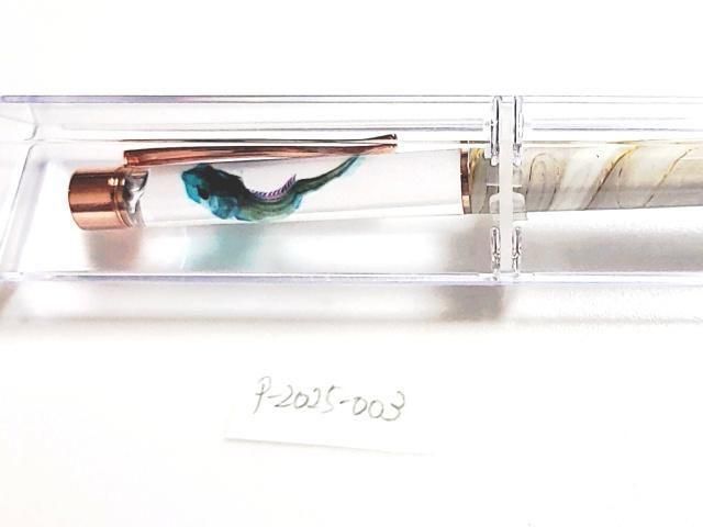 チョウザメ 透明標本 ボールペン 本体カラー(サンドベージュ)(P-2025-003)