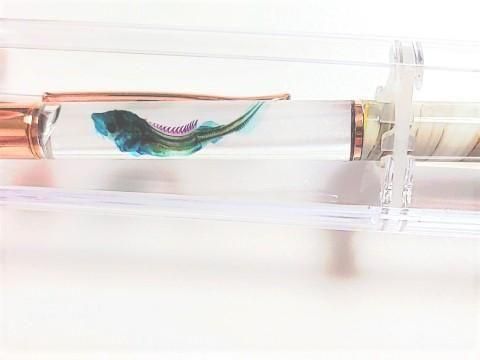 チョウザメ 透明標本 ボールペン 本体カラー(サンドベージュ)(P-2025-003)