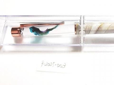 祦 Ʃɸ ܡڥ Υ顼ʥɥ١ˡP-2025-003