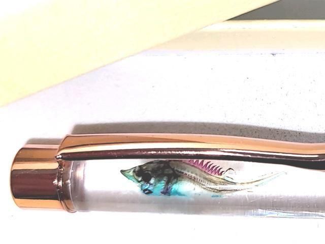 祦 Ʃɸ ܡڥ Υ顼ʥȡˡP-2025-015 