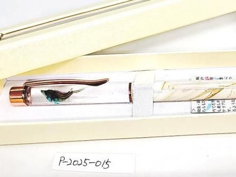 祦 Ʃɸ ܡڥ Υ顼ʥȡˡP-2025-015 