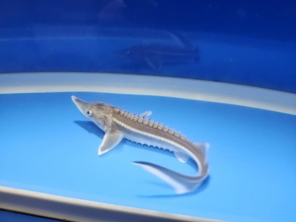  ٥ƥ 13m2025.11.09ߡˡ