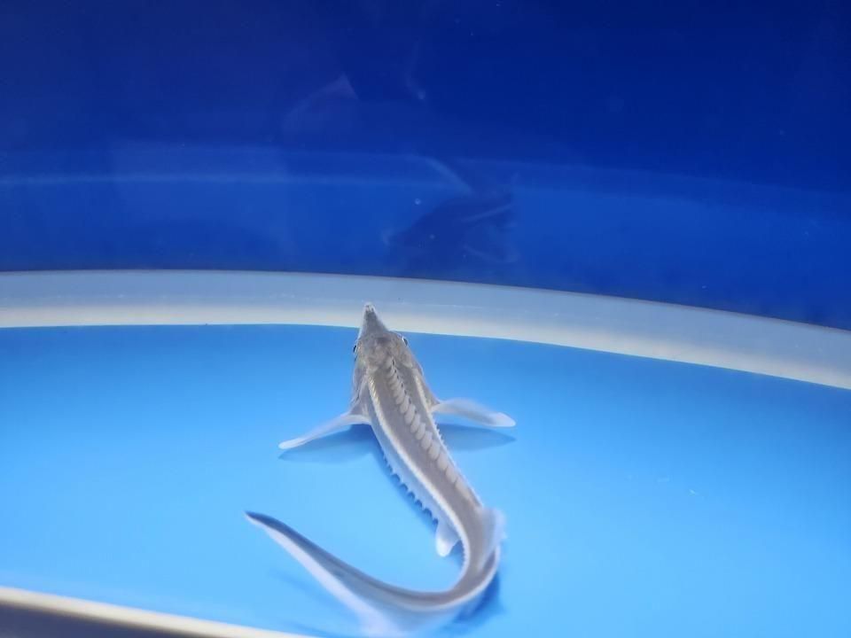  ٥ƥ 13m2025.11.09ߡˡ