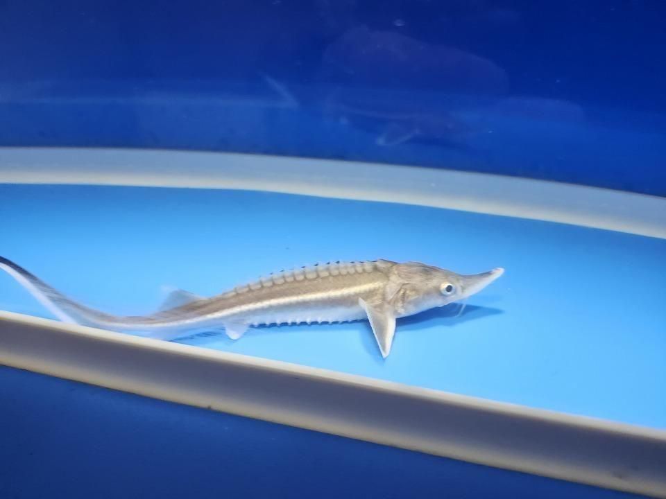  ٥ƥ 13m2025.11.09ߡˡ