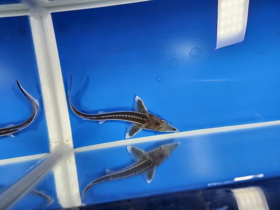  ٥ƥ 13m2025.11.09ߡˡ