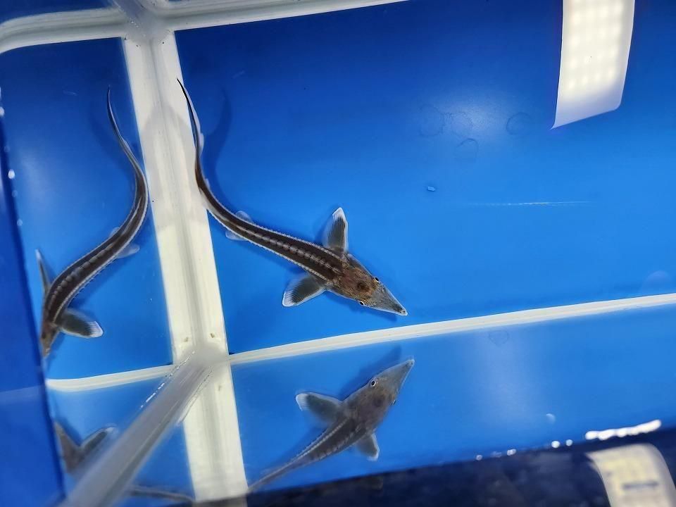  ٥ƥ 13m2025.11.09ߡˡ