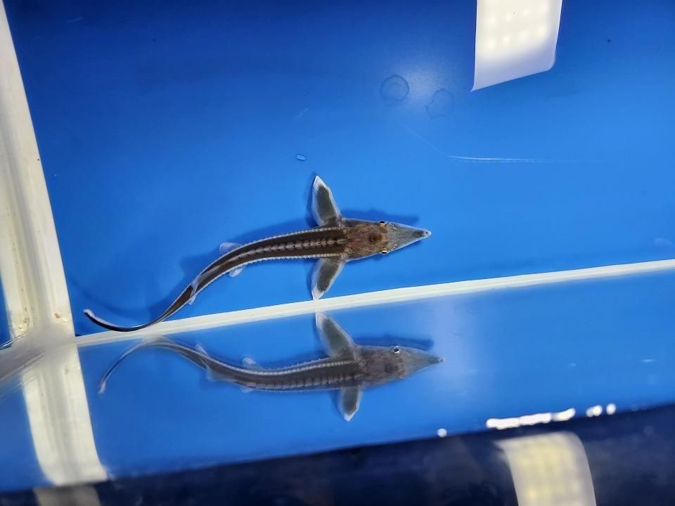  ٥ƥ 13m2025.11.09ߡˡ