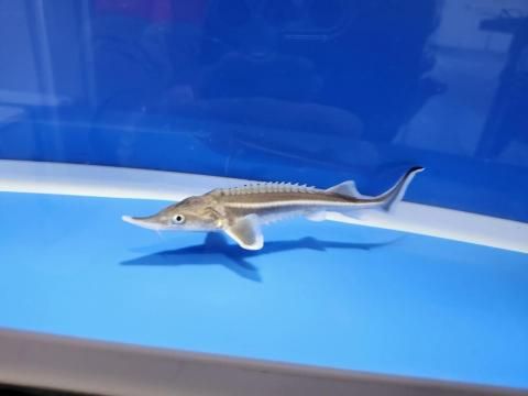  ٥ƥ 12m2025.10.27ߡˡ