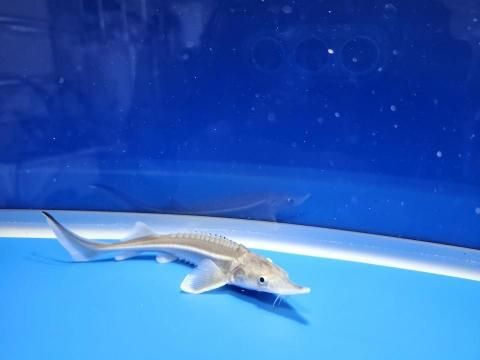  ٥ƥ 13m2025.11.21ߡˡ